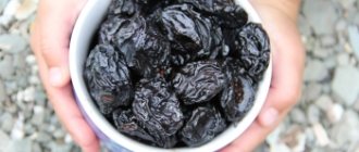 What are the benefits and harms of prunes for the body, are there any contraindications?