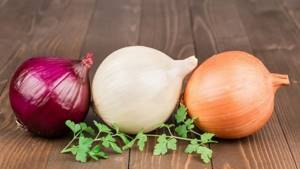 Calorie content and nutritional value of onions: fresh, boiled, fried