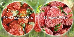 Calories-strawberries