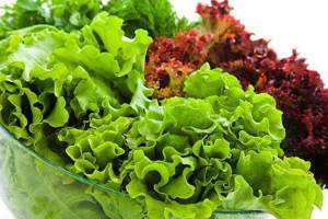 calorie content of fresh lettuce leaves