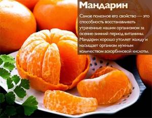 Calorie content of tangerines per 100 grams without peel, proteins, fats, carbohydrates, vitamins, benefits and harms when losing weight