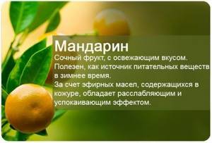 Calorie content of tangerines per 100 grams without peel, proteins, fats, carbohydrates, vitamins, benefits and harms when losing weight
