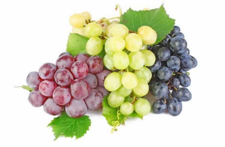 calorie content of grapes lady fingers