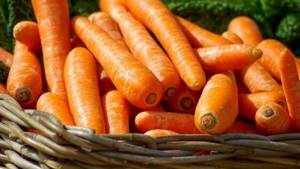 Calories, vitamins and nutritional value of fresh and cooked carrots