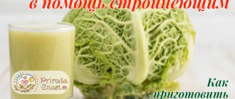 Cabbage broth for weight loss