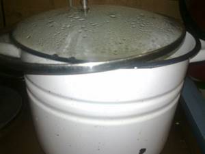 Jellied pot with lid