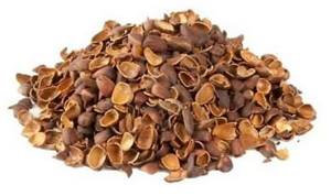 Pine nuts. Calorie content per 100 grams, 1 piece, in a tablespoon, benefits for the body, how much to use 