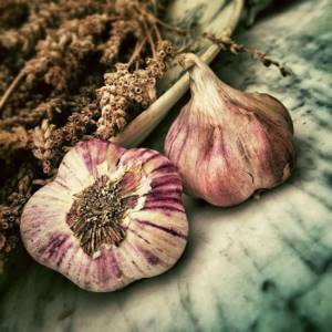 Kefir and garlic for weight loss
