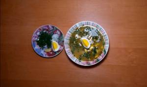 Classic green borscht with sorrel and egg – picture