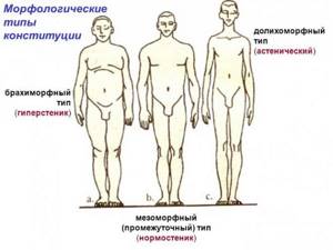 Constitution of the human body. What are they, types, types, how to determine, tests 