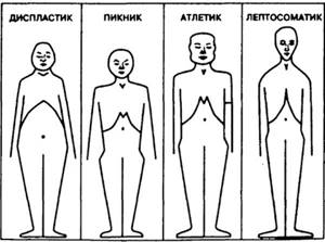 Constitution of the human body. What are they, types, types, how to determine, tests 