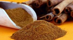 Cinnamon is an excellent fat burning product
