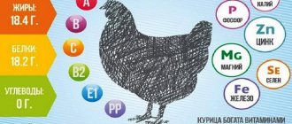 Chicken Kiev. Calorie content per 100 grams, 1 piece, BJU. Recipes step by step 