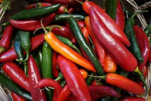 Red, bell, cayenne and other types of peppers for weight loss