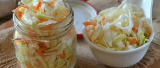 Sauerkraut - composition, benefits and rules of use