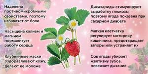 Medicinal properties of strawberries