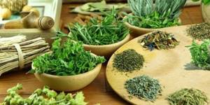 Dry and fresh medicinal herbs