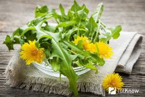 Dandelion leaves and flowers on the table