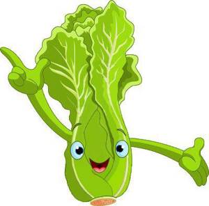lettuce leaves calorie content per 100g