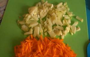 onions and carrots