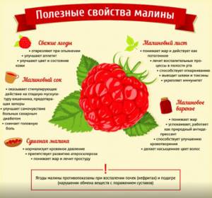 Raspberries: calorie content per 100 grams - 52 Kcal. Proteins, fats, carbohydrates, chemical composition. 
