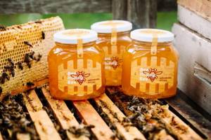 мед полезные свойства для похудения