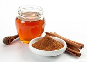 Honey with cinnamon