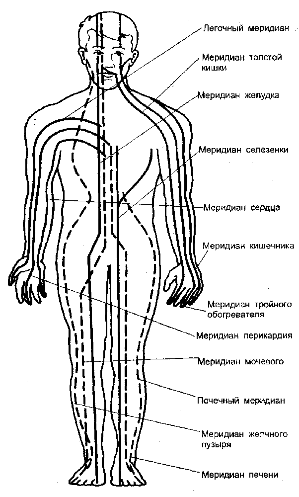 meridians on the human body