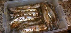 Wet salting of blue whiting