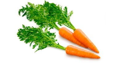 carrots for vigor