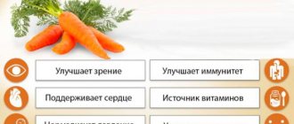 Морковь по-корейски. Калорийность на 100 грамм, белки, жиры, углеводы, польза и вред