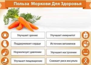 Carrots are raw. Calorie content, glycemic index, nutrition, benefits, diet recipes 