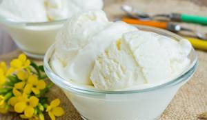 ice cream for protein diet and Dukan diet