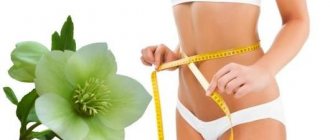 Hellebore Caucasian for weight loss