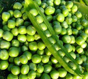 Is it possible to eat green peas at night?