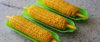 Is it possible to eat boiled corn while losing weight: calorie content, harm and benefits of the cereal