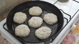 Tender beef cutlets in the oven. Cooking chicken cutlets in the oven according to a delicious recipe 