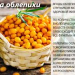 Sea buckthorn oil for weight loss. How to take and drink correctly, reviews 