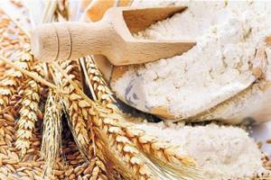 Features of durum wheat or durum. Comparison of flour groups A and B 