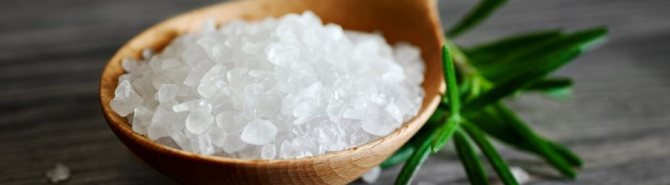 Особенности соли, воздействие на организм