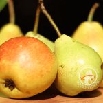 Pears make you gain weight or lose weight. Pear when dieting: is it possible to eat pears while losing weight? 