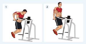 Chest style dips