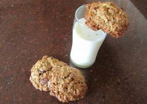 oatmeal cookies without flour