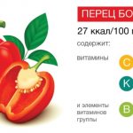 Bulgarian pepper. Calorie content per 100 grams, proteins-fats-carbohydrates, diet menu 