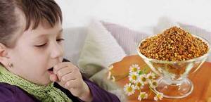 Perga for children with cough