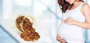 Bee bread during pregnancy