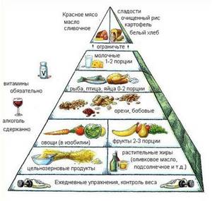 Пирамида питания:продукты здорового рациона