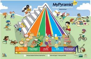Пирамида питания:продукты здорового рациона