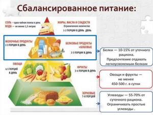 Пирамида продуктов