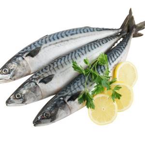 nutritional value of mackerel